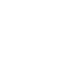 Royal Swan